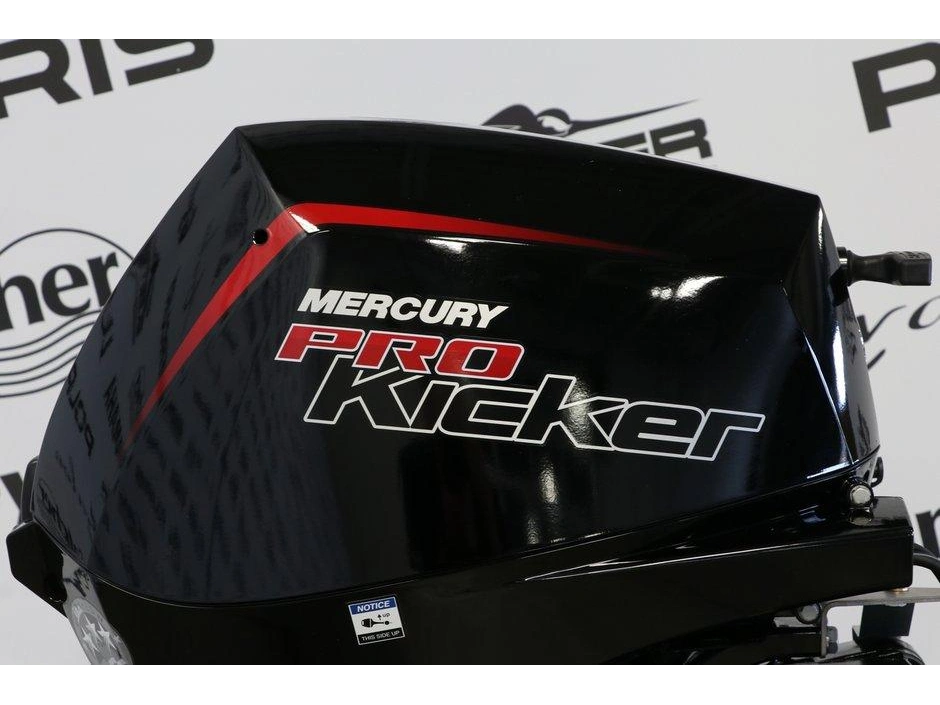 2024 Mercury Mercury 9.9elpt Pk Efi À Démarreur Élèctrique, Long (20 Pouces) alt