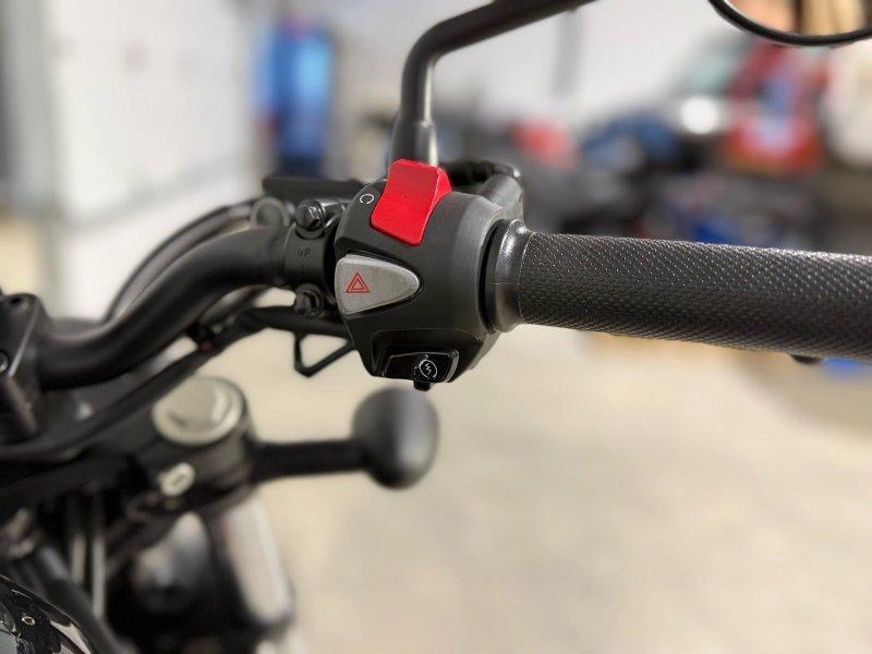 Honda Rebel 500 (abs) 2026 alt