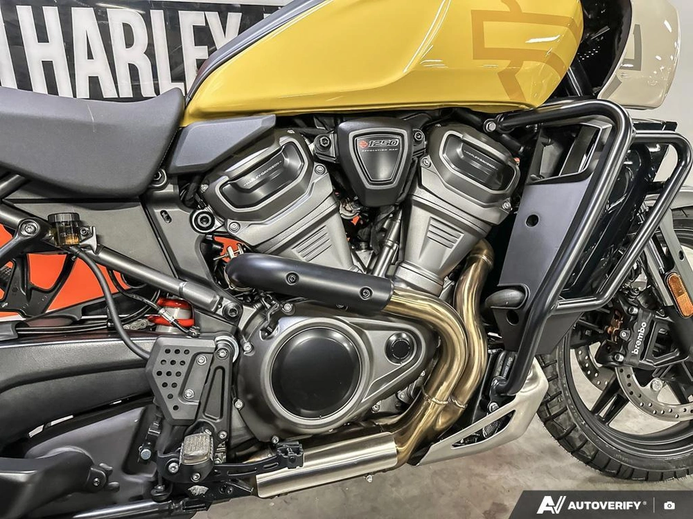 2023 Harley-davidson Ra1250s - Pan America™ 1250 Special alt