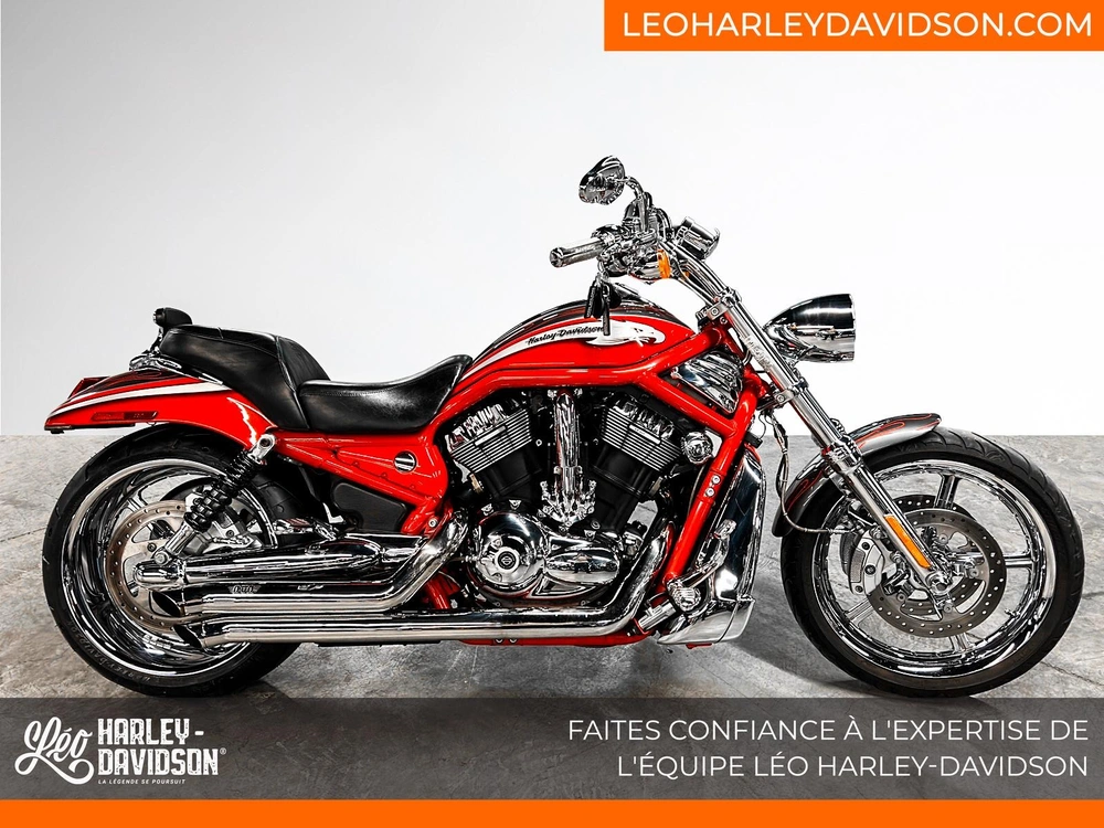 2006 Harley-davidson Vrscse Cvo V-rod alt