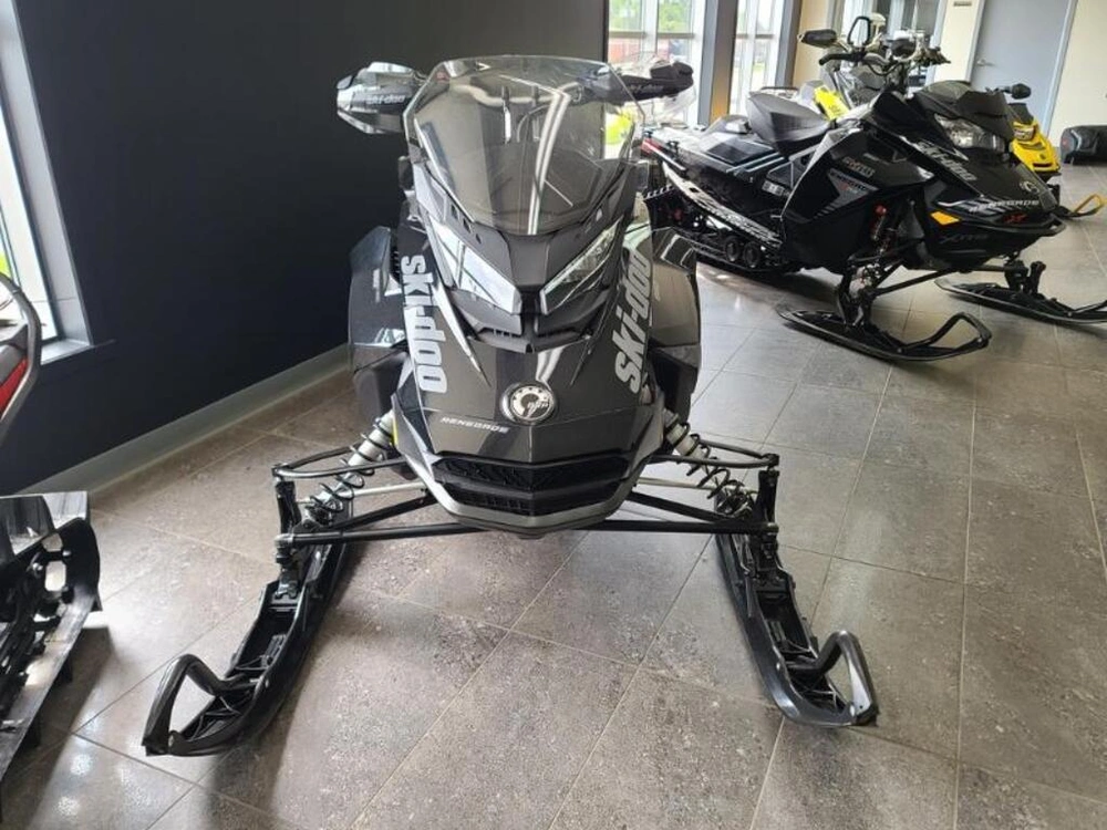 Ski-doo Ren Adr 850 Es Rips 1.25 N 2020 alt