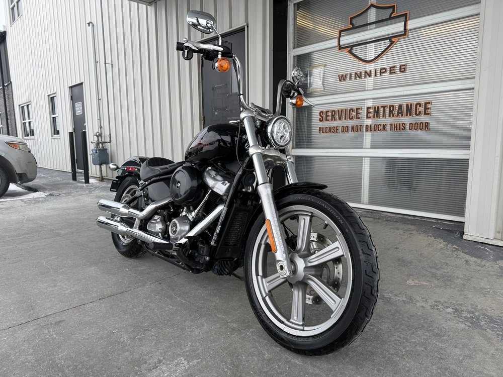 2023 Harley-davidson Softail Standard alt