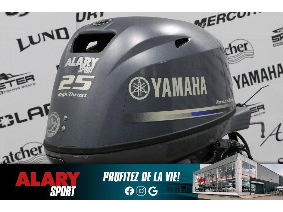 2010 Yamaha Yamaha T25la High Thrust Long (20 Pouces) alt