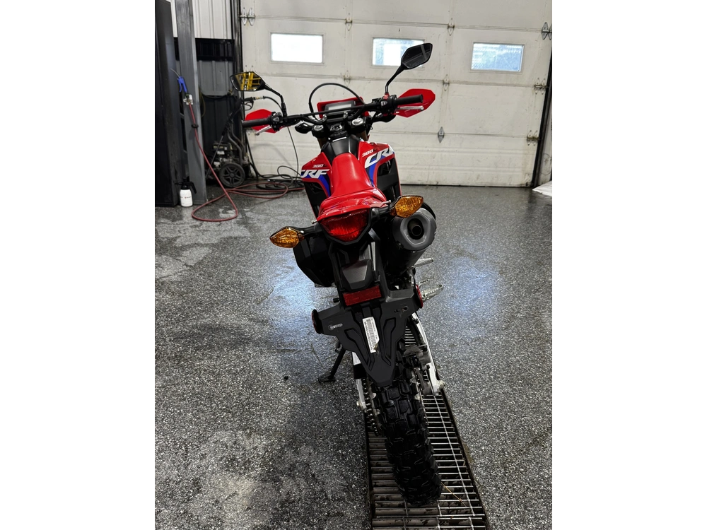 Honda Crf300l 2022 alt