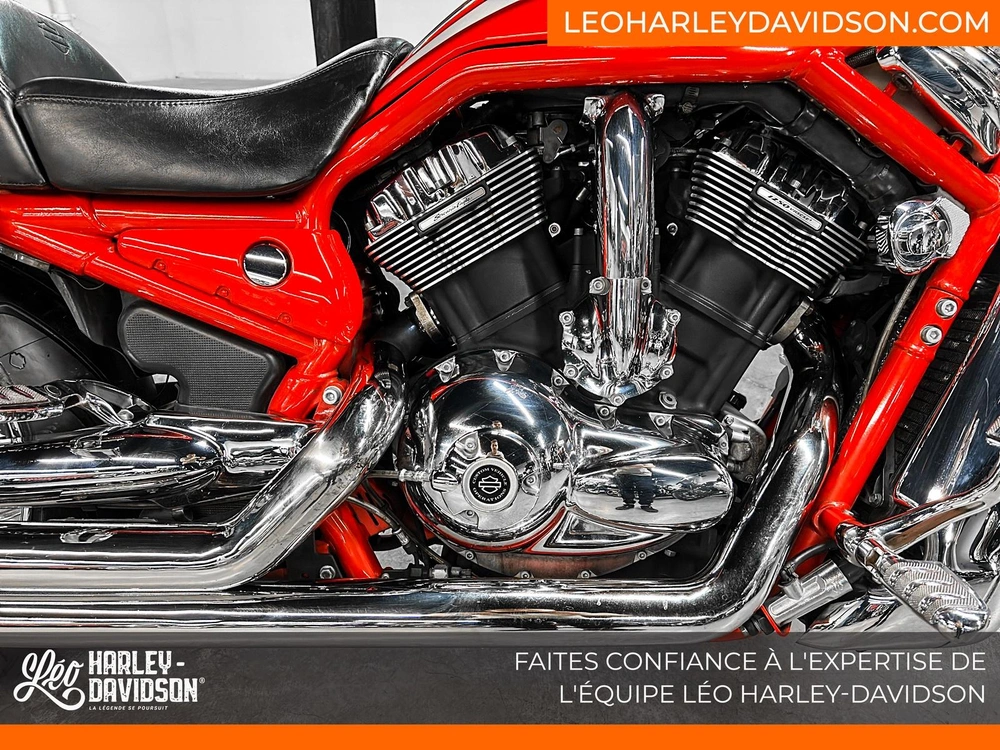 2006 Harley-davidson Vrscse Cvo V-rod alt