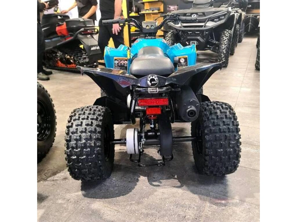 Can-am Renegade 70 Efi 2024 alt