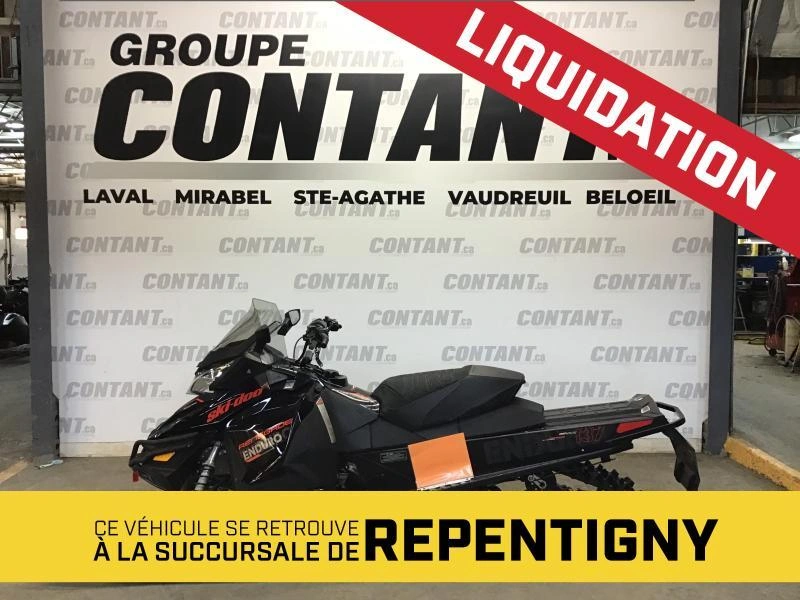 Ski-doo Renegade Enduro 900 Ace Es 2017 alt