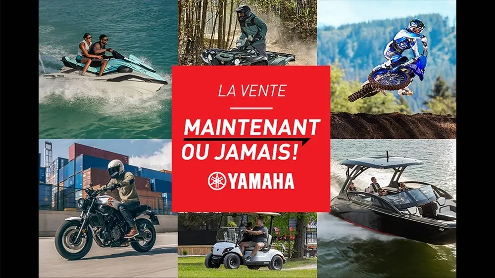 La vente Maintenant ou jamais