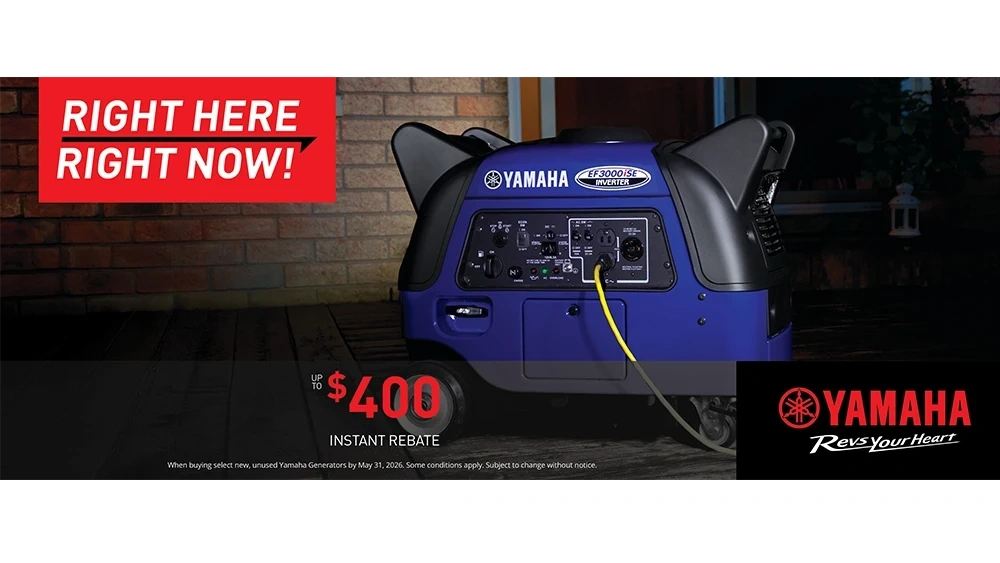 Generator Instant Rebate – Right Here Right Now alt