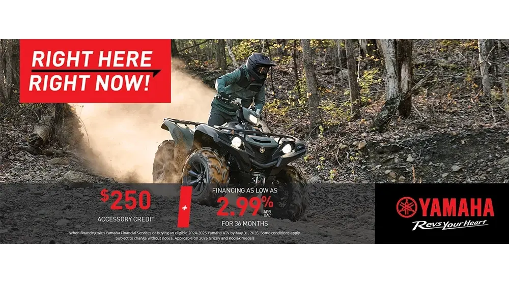 ATV – Right Here Right Now