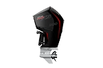Outboard Motor alt