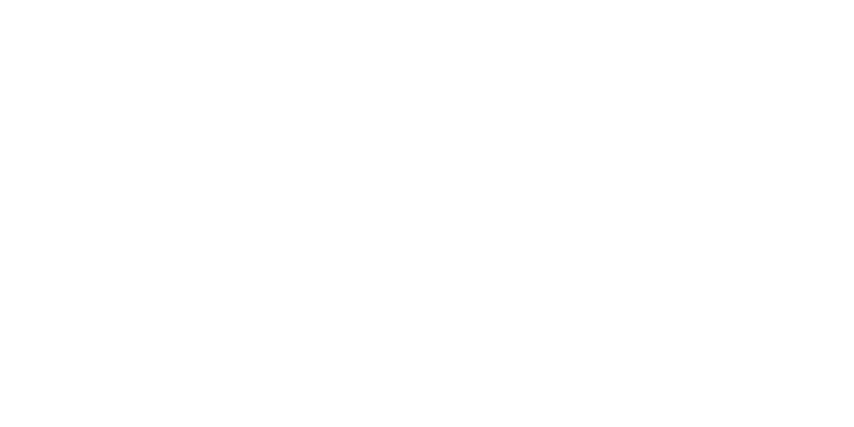 RM Motosport hero logo alt