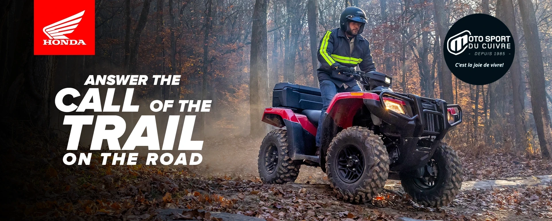 Honda ATV alt