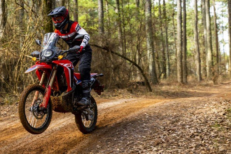Les meilleures motos Honda 2023 pour les nouveaux pilotes alt