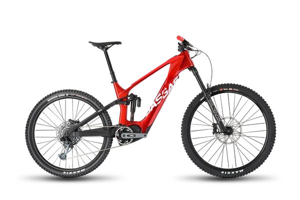 Electric Bikes alt