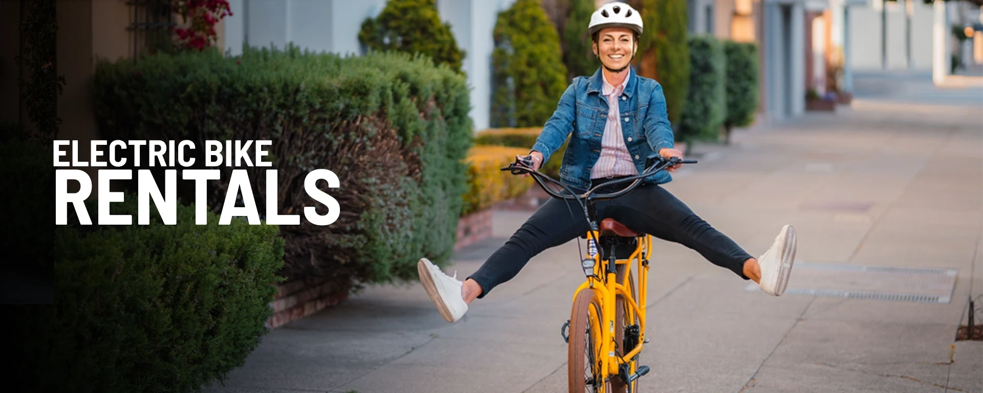 Electric Bikes alt