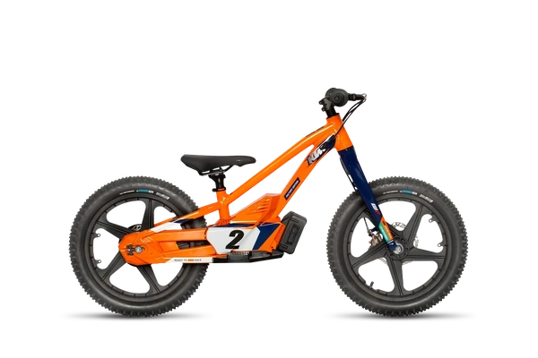 Youth Electric Bikes alt