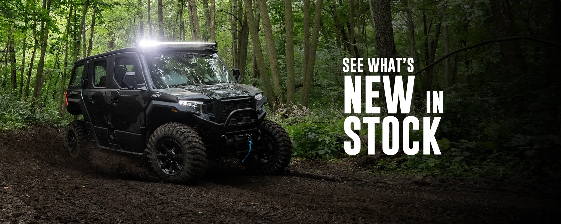 See What’s New in Stock alt