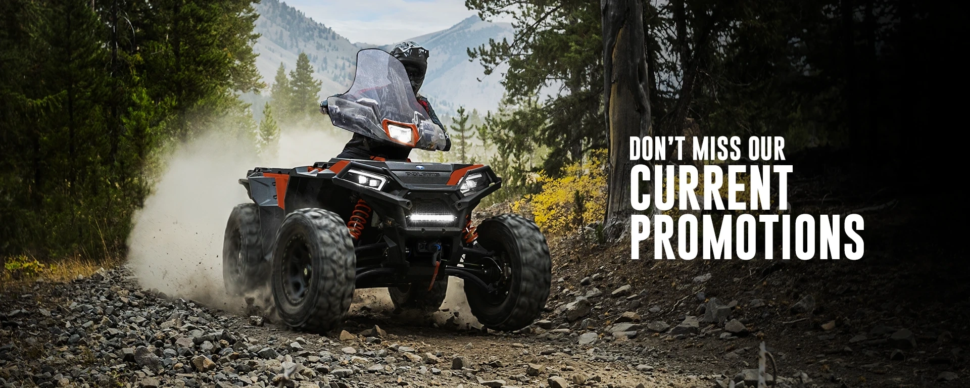 Don’t Miss Our Current Promotions alt