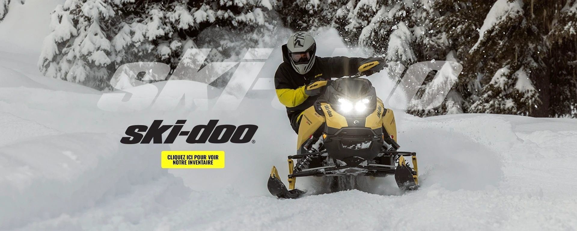 SKI-DOO INVENTORY alt