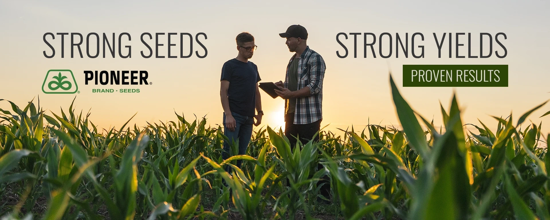 Strong Seeds. Strong Yields. Proven Results. alt