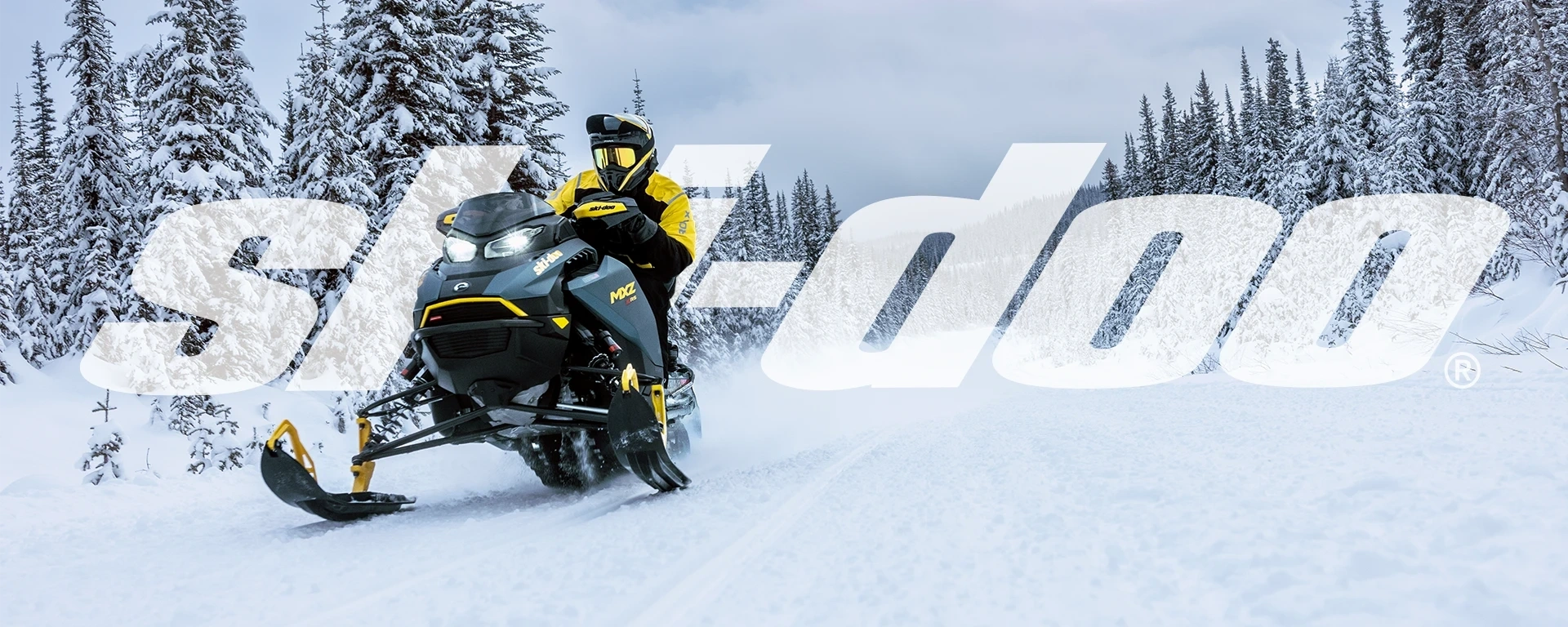 Ski-Doo alt
