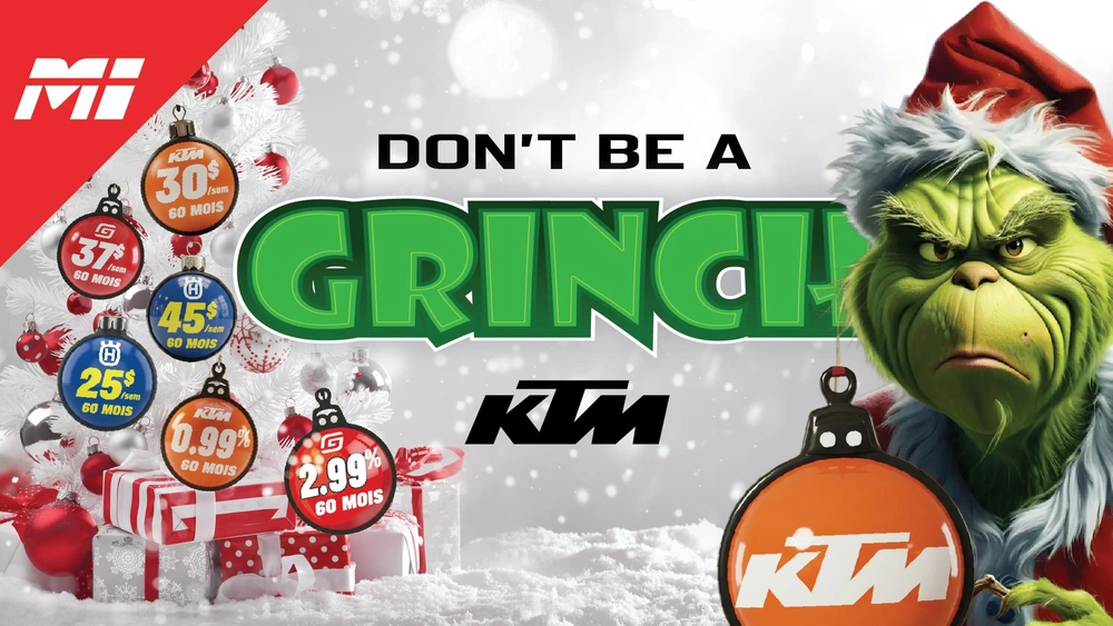 DON'T BE A GRINCH | Holidays alt