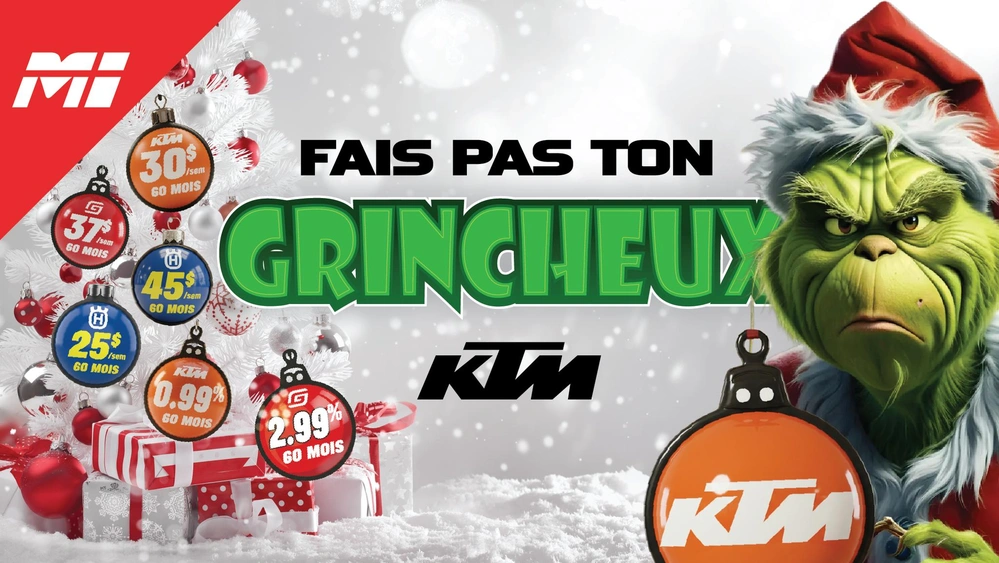 FAIS PAS TON GRINCHEUX | Temps des Fêtes alt