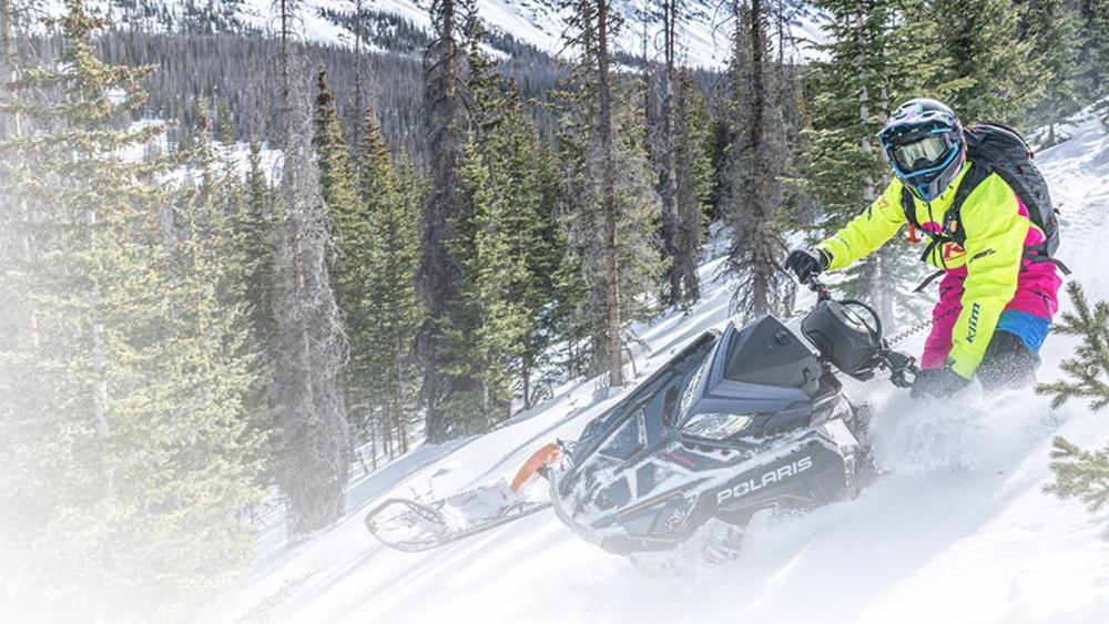 Polaris PRO RMK: Price and Specs alt