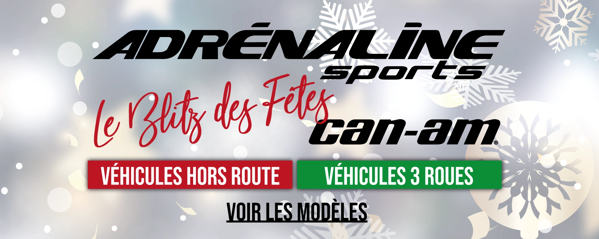 Blitz des Fêtes Can-Am alt