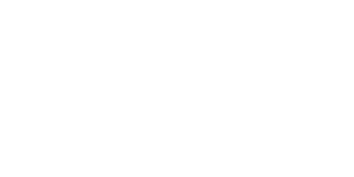 Alary Sport hero logo alt