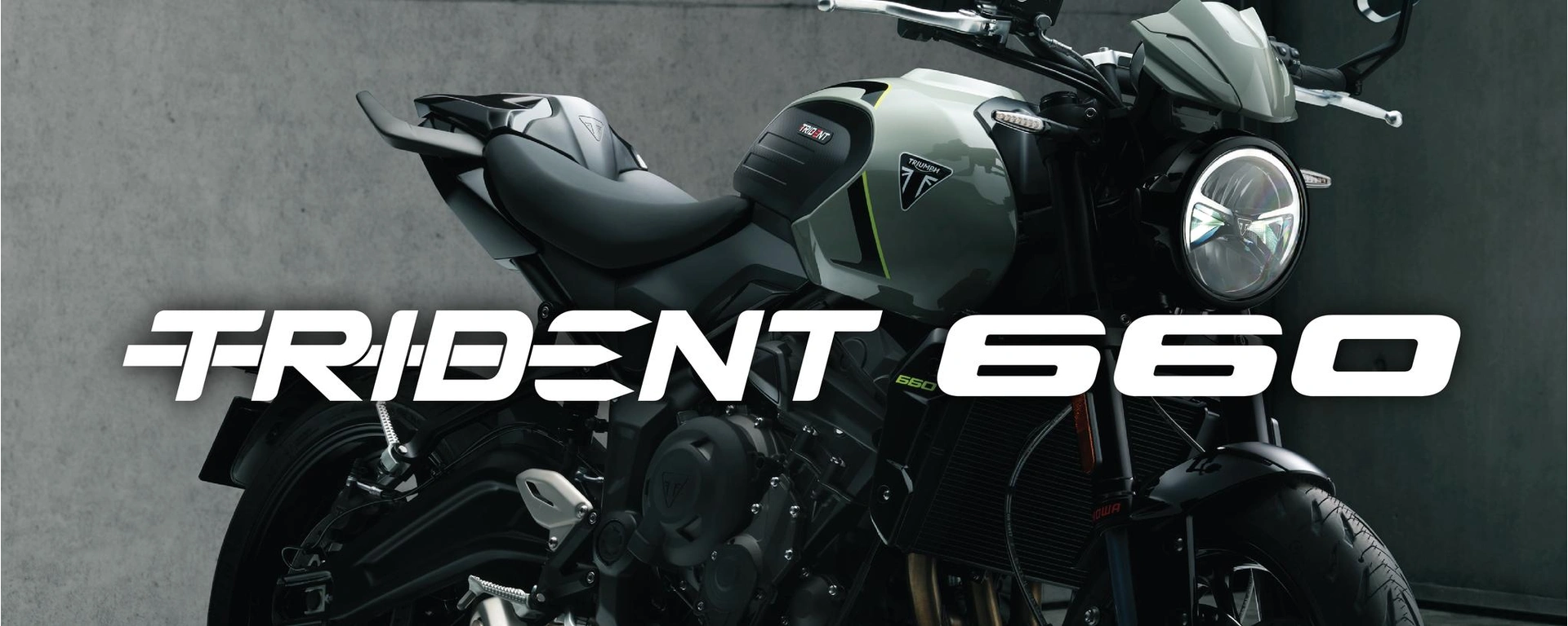 Discover the Triumph Trident 660 alt