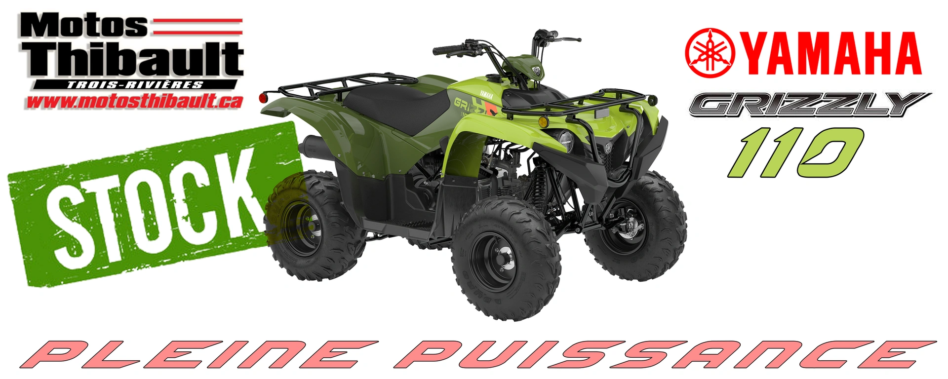 YAMAHA GRIZZLY 110 alt