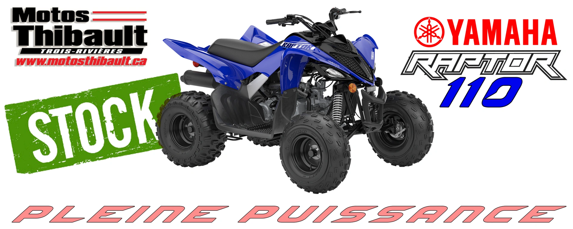 YAMAHA RAPTOR 110 alt