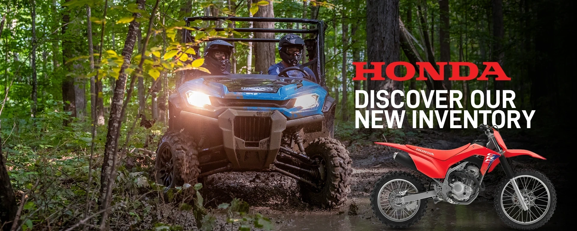 Discover our new inventory! alt