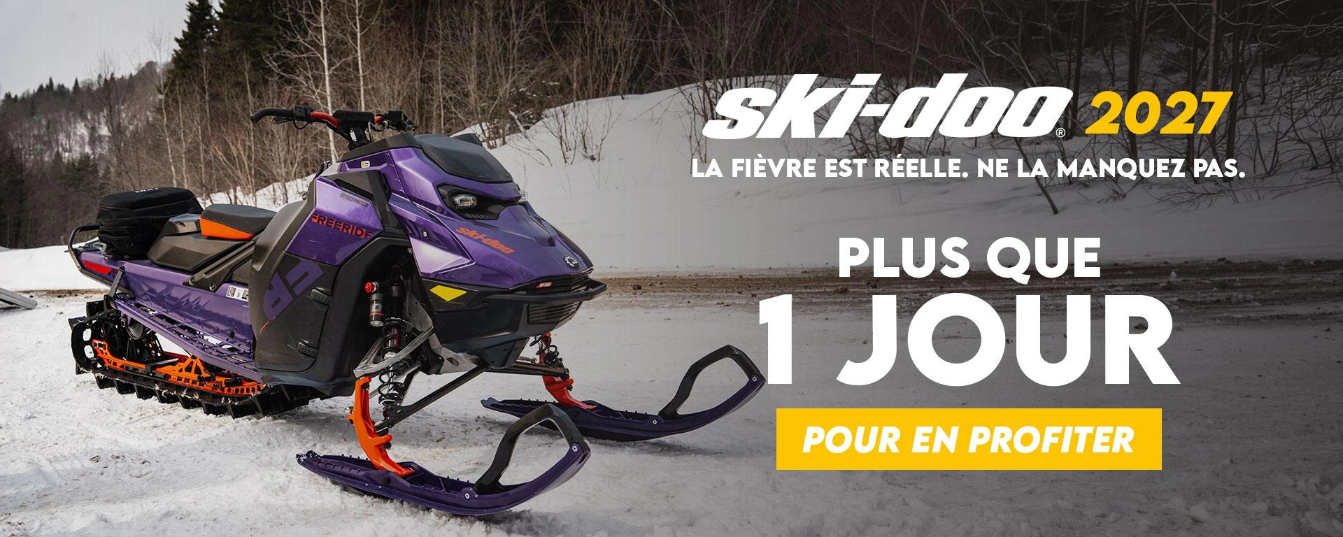 Fièvre du printemps - 1 jour alt