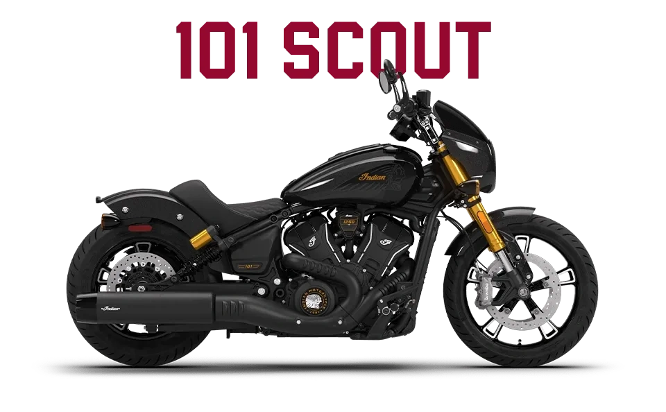 101 SCOUT