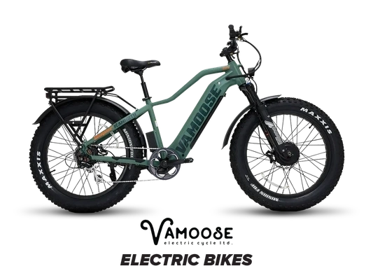 Vamoose Cycle Electric Bikes alt