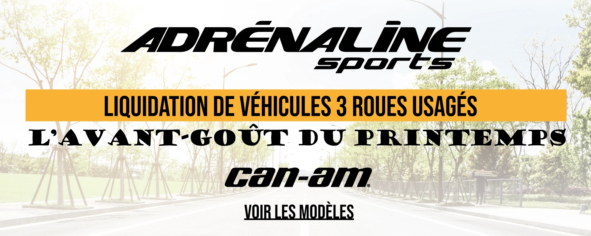 Liquidation Can-Am 3 roues alt