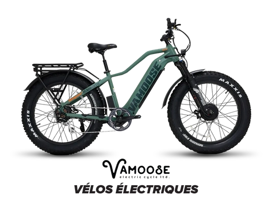 Vélos électriques Vamoose Cycle alt