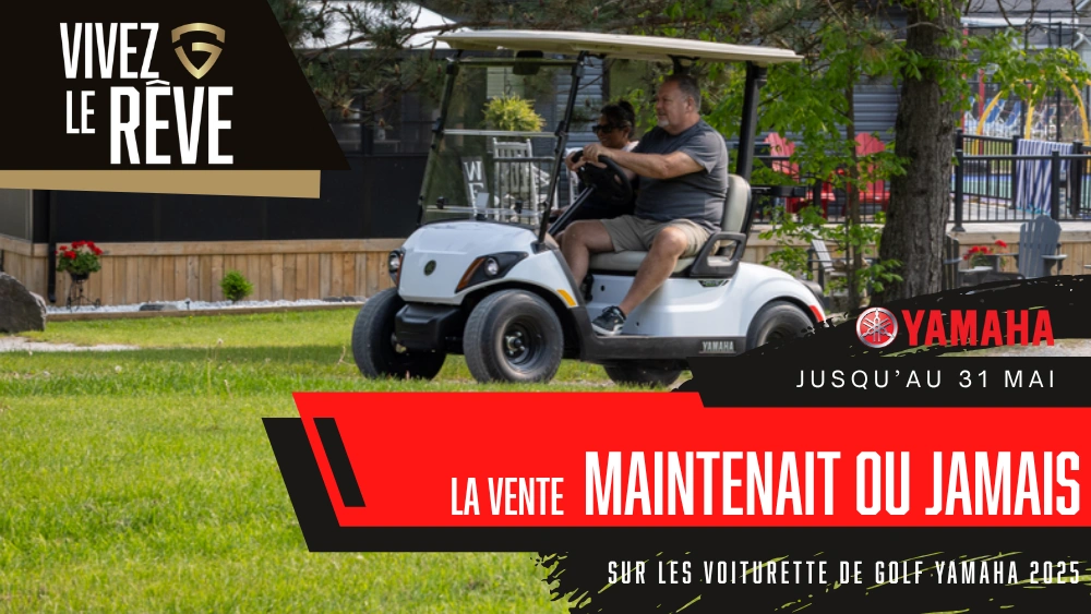 La vente MAINTENENT OU JAMAIS - Voiturettes de golf Yamaha alt