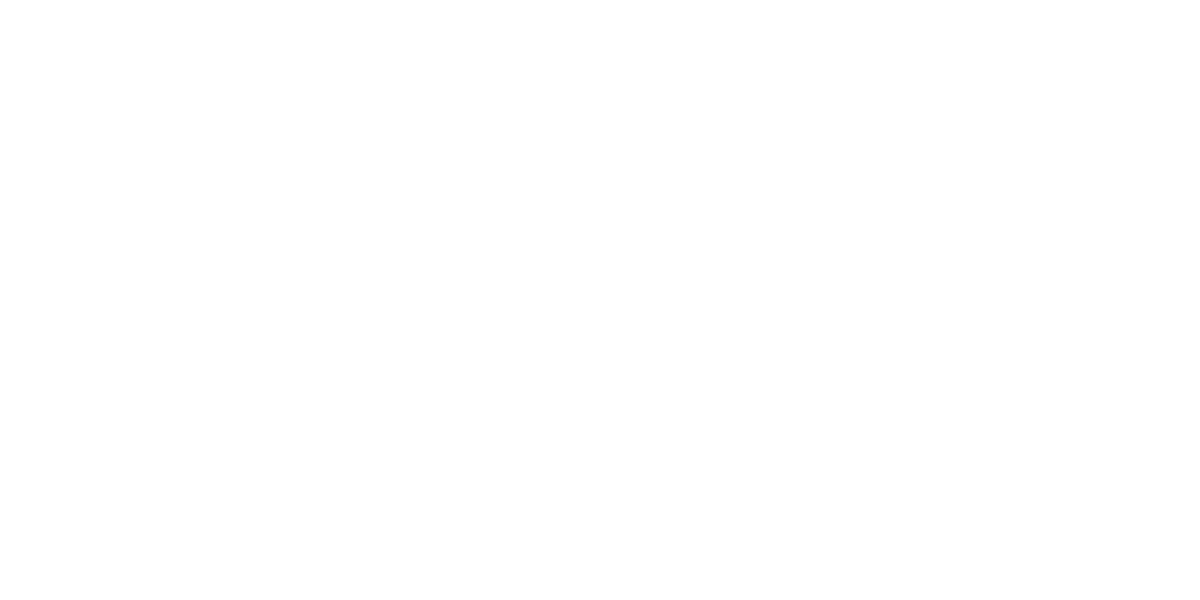 Wild Country Sports hero logo alt