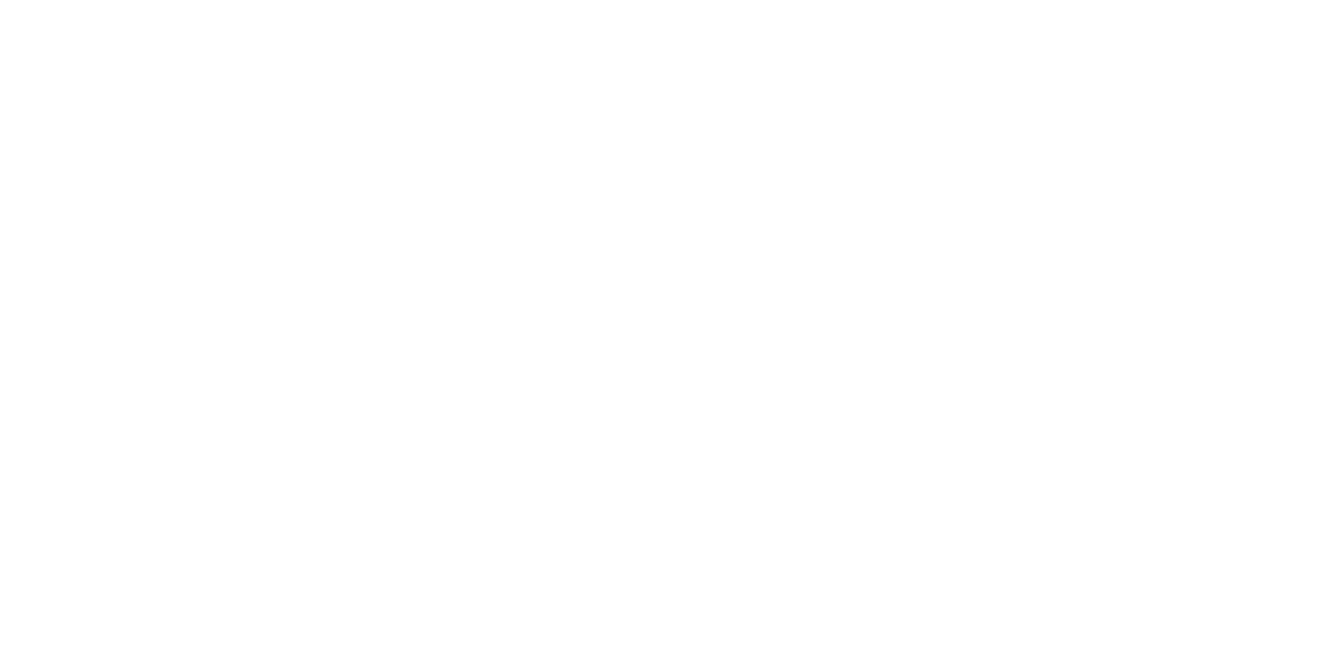 Rally Motorsports hero logo alt