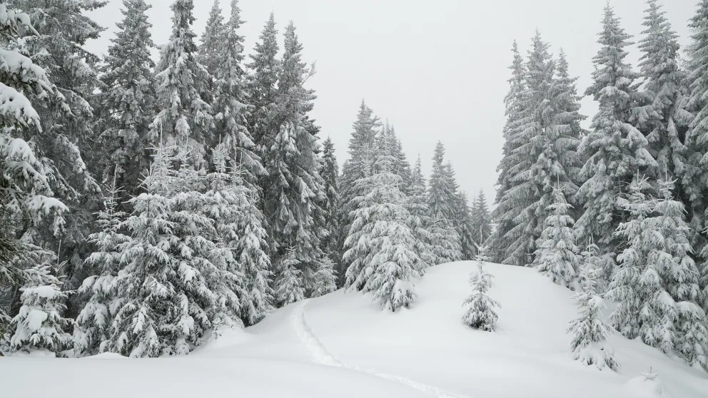 Activités d’hiver à faire en VR : des plaisirs froids bien au chaud alt