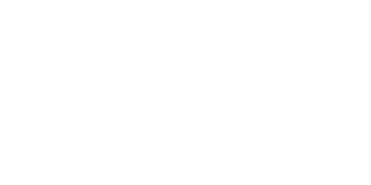 Dauphin Speed n' Sport hero logo alt