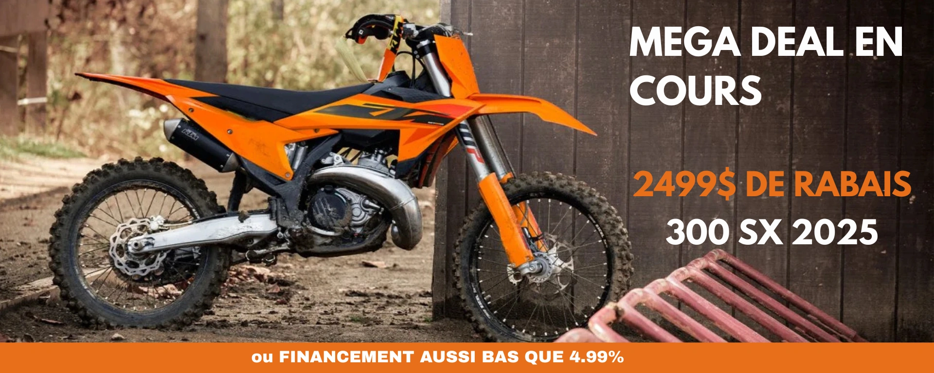 PROMO 300 SX alt