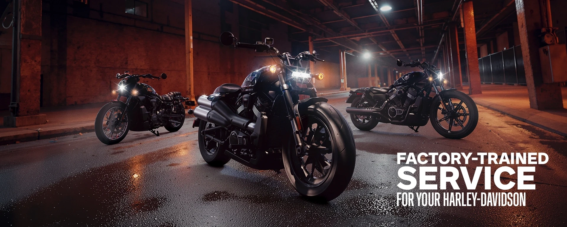 Factory-trained service for your Harley-Davidson alt
