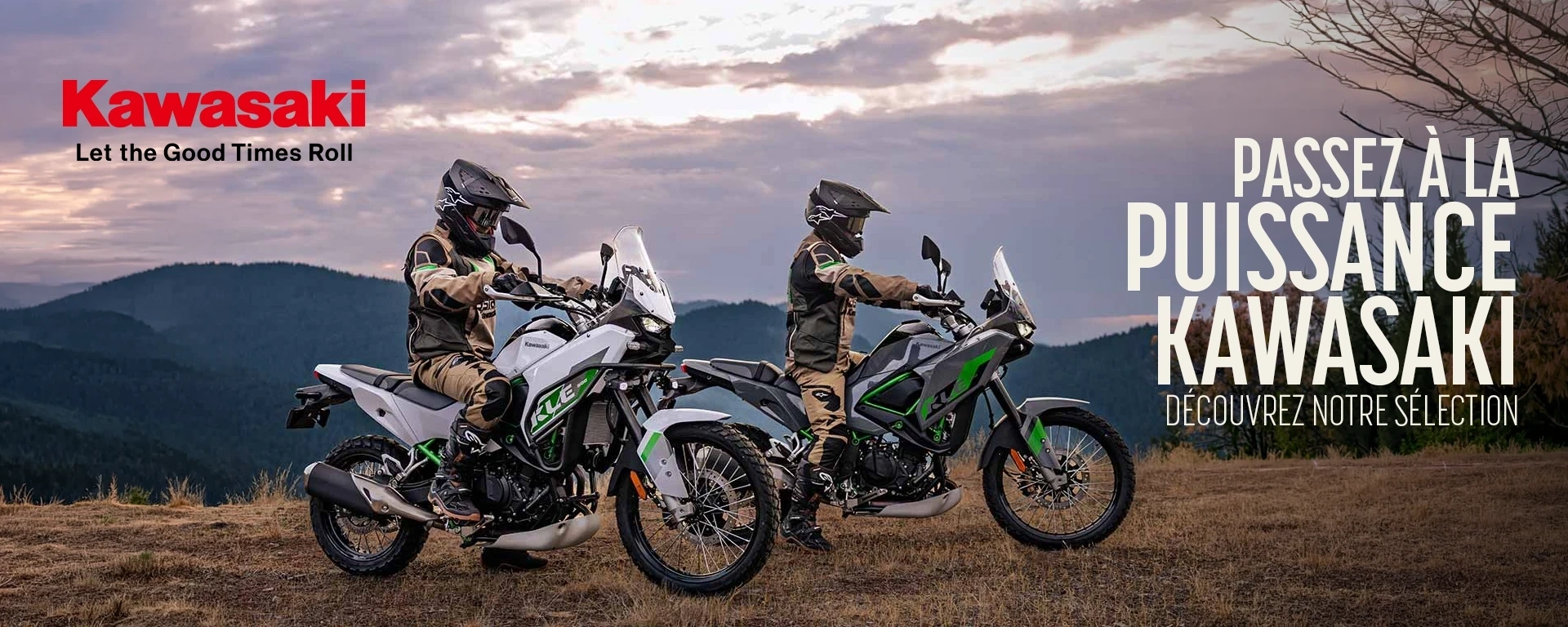 Kawasaki KLE 500 | Découvrez toute notre sélection alt