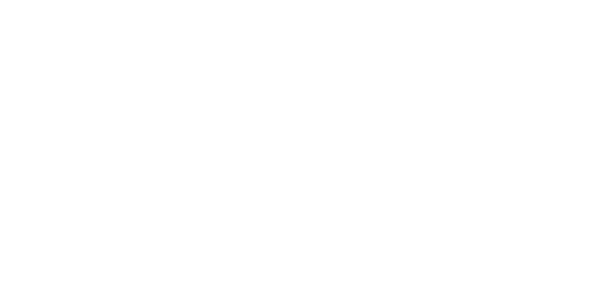Team Vincent Motorsports hero logo alt