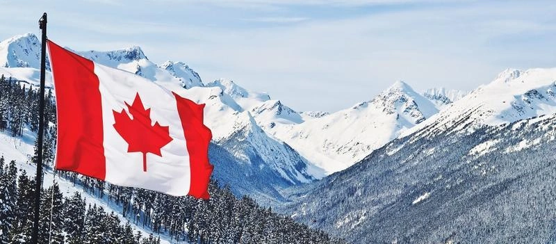Introducing our 5 new TDMC Sponsored Olympic Athletes alt